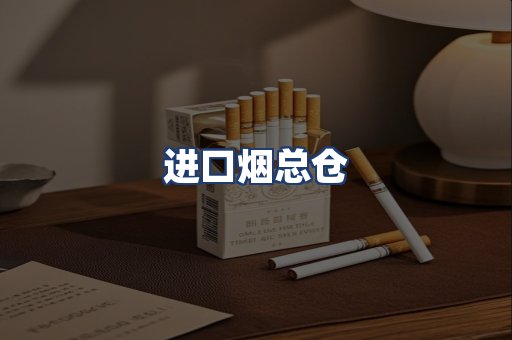 进口烟总仓